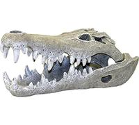 Rosewood - Calavera de cocodrilo del Nilo para Decorar Acuario