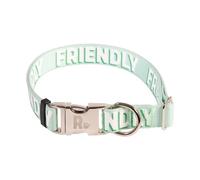 Rosewood Collar de Alerta Friendly para Perro - Collar Ajustable para Mascotas para Perros pequeños, medianos y Grandes - Collar de Advertencia de concienciación con herrajes metálicos - Verde, 10