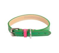 Rosewood Collar de Cuero Vegano para Perro, Collar Ajustable de Piel sintética para Perros medianos a Grandes, Collar Elegante y Duradero con herrajes de Metal, Verde/Rosa, 18-22 Pulgadas