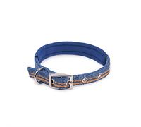 Rosewood Collar Reflectante Ajustable para Perro, pequeño, Azul, de 10 a 14 Pulgadas