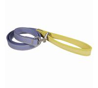 Rosewood Correa de Cuero Vegano para Perros pequeños, medianos y Grandes, Correa Elegante y Duradera con herrajes metálicos, Azul/Amarillo, 102 cm