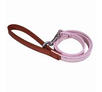 Rosewood Correa de Cuero Vegano para Perros pequeños, medianos y Grandes, Correa Elegante y Duradera con herrajes metálicos, Rosa/Rojo, 102 cm