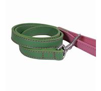 Rosewood Correa de Cuero Vegano para Perros pequeños, medianos y Grandes, Correa Elegante y Duradera con herrajes metálicos, Color Verde/Rosa, 102 cm