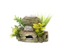 Rosewood Cueva Rocky con Plantas