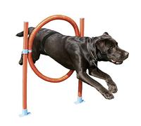 Rosewood Dog Agility Jump Incluye Bolsa