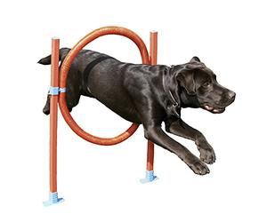 Rosewood Dog Agility Jump Incluye Bolsa