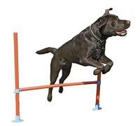 Rosewood El obstáculo de Agilidad para Perros Incluye Bolsa, Naranja/Azul