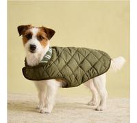 Rosewood Joules Abrigo Acolchado Caqui para Perros, pequeño, Lavable, Ligero, cálido, Abrigo de Invierno para Perros pequeños