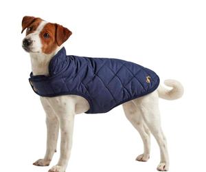 Rosewood Joules Abrigo acolchado para perro, azul marino, grande