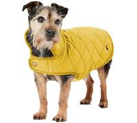 Rosewood Joules - Abrigo Acolchado para Perro, Color Dorado Envejecido, Grande