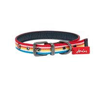 Rosewood Joules Collar de Perro con Rayas arcoíris Grande