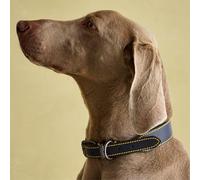 Rosewood Joules Collar de Perro de Cuero Azul Marino, Grande