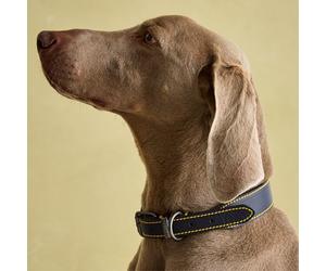 Rosewood Joules Collar de Perro de Cuero Azul Marino, Grande