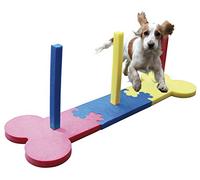 Rosewood Pequeño Perro Agilidad Slalom