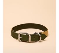 Rosewood x Joules Collar de Perro Caqui, Grande, Cuero Duradero y Detalle de cincha, diseño Elegante con Hebilla de Metal Cepillado, Accesorio Premium para Mascotas