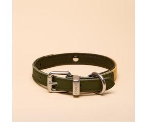 Rosewood x Joules - Collar de Perro Caqui, pequeño, Cuero Duradero y Detalle de cincha, diseño Elegante con Hebilla de Metal Cepillado, Accesorio Premium para Mascotas