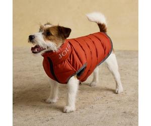 Rosewood x Joules Ketchup Moorsdale - Abrigo Acolchado para Perro, pequeño, Chaqueta de Invierno Reversible con Cierre de Cremallera, cálido, Ligero, Resistente al Agua, Abrigo para Mascotas para