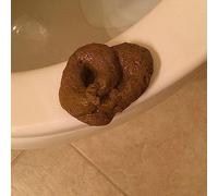 Rosojodg Gran Bretaña juguete caca, artículo broma divertida broma falsa Turd para broma de abril La gran diversión para cualquier ocasión