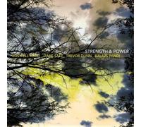 Jamie Saft - Strength & Power