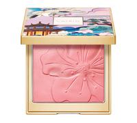 Rosy Blush Catkin Coloretes