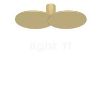 Rotaliana Collide H1, lámpara de pared y techo LED, dorado - 2.700 k - regulable por corte de fase