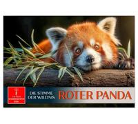 Roter Panda - die Stimme der Wildnis (Tischkalender 2026 DIN A5 quer), CALVENDO Monatskalender: Ein Katzenbär zum Verlieben.