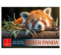 Roter Panda - die Stimme der Wildnis (Wandkalender 2026 DIN A4 quer), CALVENDO Monatskalender: Ein Katzenbär zum Verlieben.