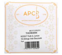 Roth & Junius 10-String Irish Bouzouki Set