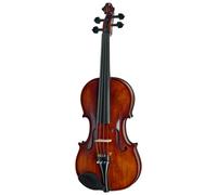 Roth & Junius Bird`s Eye Maple Violin St/E
