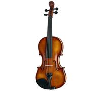 Roth & Junius Europe Lion`s Head Violin St/E