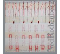 Rothenberg,Ned - Rothenberg: Quintet For Clarinet And Strings