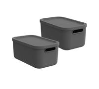 Rotho Albula Light - Juego de 2 cajas de almacenaje (12 L, con tapa, plástico)
