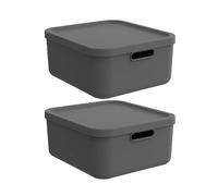 Rotho Albula Light Organizador Cocina Cajas Almacenaje Plástico 20 L Gris