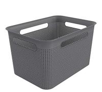 Rotho Brisen caja grande de almacenamiento de 16l con 4 asas, Plástico (PP) sin BPA, antracita, 16l (36.0 x 26.2 x 21.1 cm)
