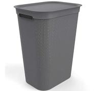 Rotho Brisen Cesto Ropa Sucia 50 L Cesta Ropa Sucia con Tapa Gris Antracita | Cubo para ropa sucia de 50 L, cesto con tapa de plástico PP, 2 asas, cesta para guardar y transportar la colada