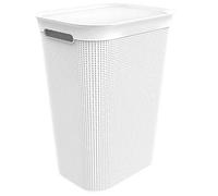 Rotho Brisen, Colector de lavado de 50l con tapa y 2 asas, Plástico PP sin BPA, muérdago blanco, 50l 43.1 x 34.0 x 52.9 cm
