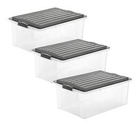 Rotho Compact - Juego de 3 Cajas de Almacenamiento 38 L con Tapa, Plástico (PP) sin BPA, Gris Antracita/Transparente, 3 x A3/38 L (57.5 x 40.0 x 25.0 cm)