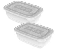 Rotho Freeze Juego de 2 frascos de 1,9 litros con tapa., Plástico (PP) sin BPA, transparente, 2 x 1.9l (23.5 x 16.0 x 10.0 cm)