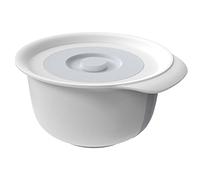 Rotho Fresh - Juego de 2 cuencos de 1,2 l + 4 l con tapa, plástico apto para alimentos (PP) sin BPA, color gris, 1,2 l + 4 l (28,8 x 26 x 14,2 cm)