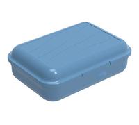 Rotho Fun Lata Vesper 0.9l con partición removible, Plástico (PP) sin BPA, azul, S/0.9l (17.7 x 12.9 x 6.0 cm)