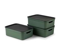 Rotho Jive Cajas Almacenaje Plastico con Tapa, Pack de 3 x 10 l - Cajas Organizadoras Decorativas Apilables, Verde y Antracita, 37.5 x 27.8 x 13.5 cm