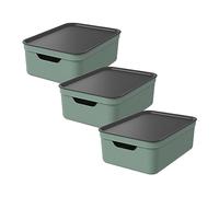 Rotho Jive Pack de 3 Organizador Armario y Organizador Cocina 10 L Verde | Cajas de almacenaje apilables con tapa, plástico reciclado, 2 asas, para oficina y documentos DIN A4