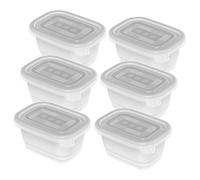 Rotho Juego de 6 cajas congeladoras Freeze de 0,25 l con tapa, de plástico (PP) sin BPA, transparentes, 6 x 0,25 l (11,2 x 7,8 x 5,9 cm)