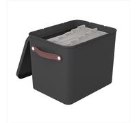 Rotho MyPaper Archive - Organizador de documentos My Paper Plus, plástico (PP) sin BPA, negro, (40 x 29,2 x 29,8 cm)
