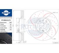 ROTINGER 2x Disco de Freno Delantero Ø304mm Apto para Peugeot 407 de Sw 6E _ 2.0