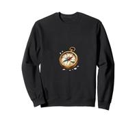 Roto, brújula, dirección, perdido, Concepto, ilustración Sudadera
