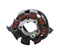 Rotor Bobina Encendido Magneto Bobina del Estator Generador Motor Magneto para TRX250 FourTrax 250 para Recon TE/TM TRX250EX SFor para Portrax EX 31120-HM8-004