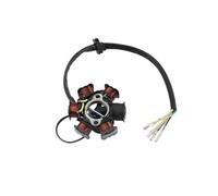 Rotor Bobina Encendido Magneto Rotor De Estator Volante Magnético 6 Polos para Motocicleta LINGQI para Cuatriciclo, Moto Cross, ATV, BU&ggy, 50 CC, 70, 90, 110 Y 125