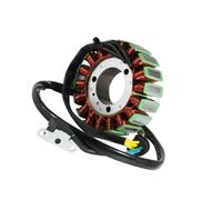 Rotor De Bobina De Estator De Encendido De Motocicleta Compatible Con TGB 250 TGB 325 TGB 325: 923706