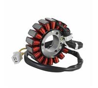 Rotor De Bobina Encendido Y Estator para FES125 FES150 Pantheon FES 125 150 S-Wing 31120-KRJ-901